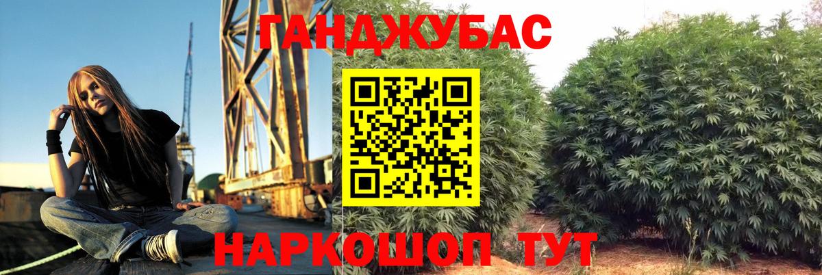 Бошки Шишки план Троицк